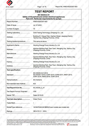 IEC Test report